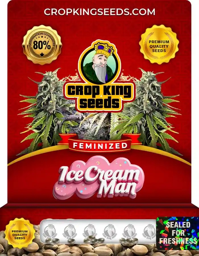 Ice Cream Man Strain Feminized Marijuana Seeds