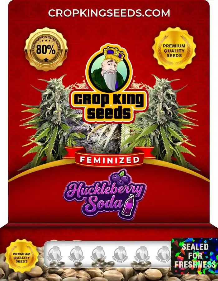 Huckleberry Soda Feminized Seeds