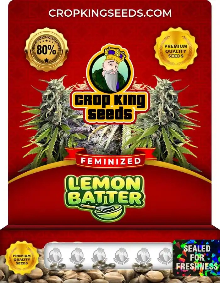 Lemon Batter Strain Feminized Seeds