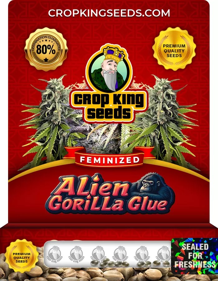 Alien Gorilla Glue Feminized Marijuana Seeds