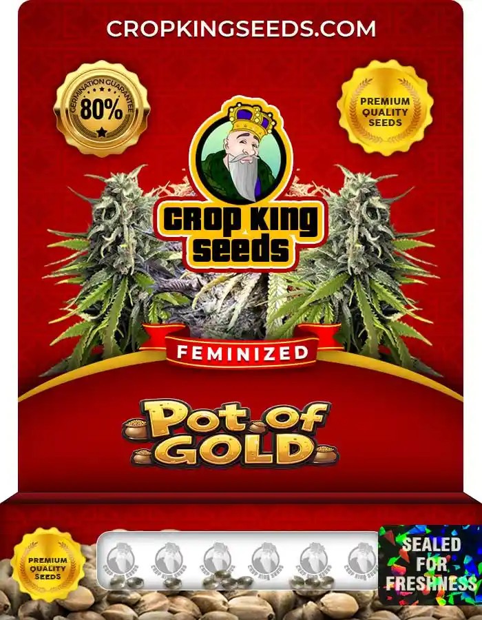 Pot of Gold Feminized Seeds