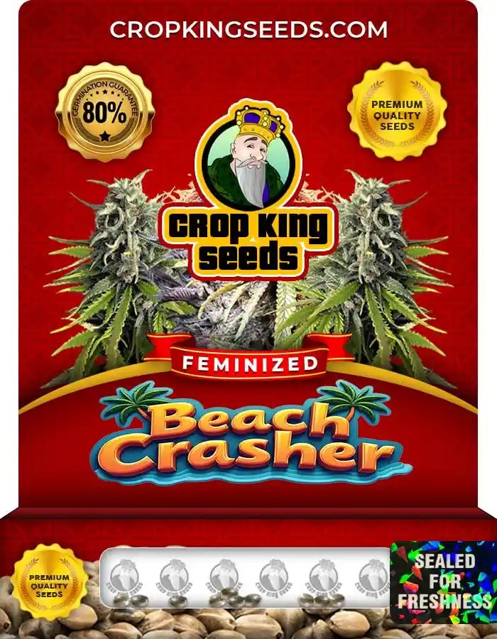 Beach Crasher Feminized Seeds
