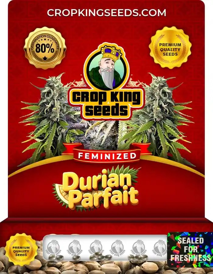 Durian Parfait Strain Feminized Seeds