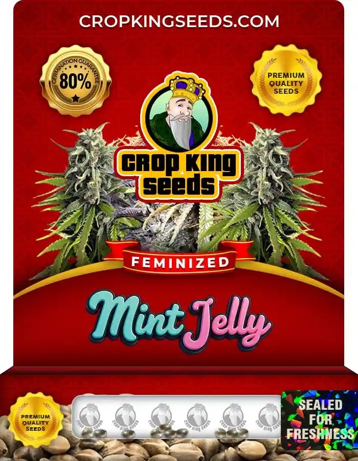 Mint Jelly Strain Feminized Marijuana Seeds
