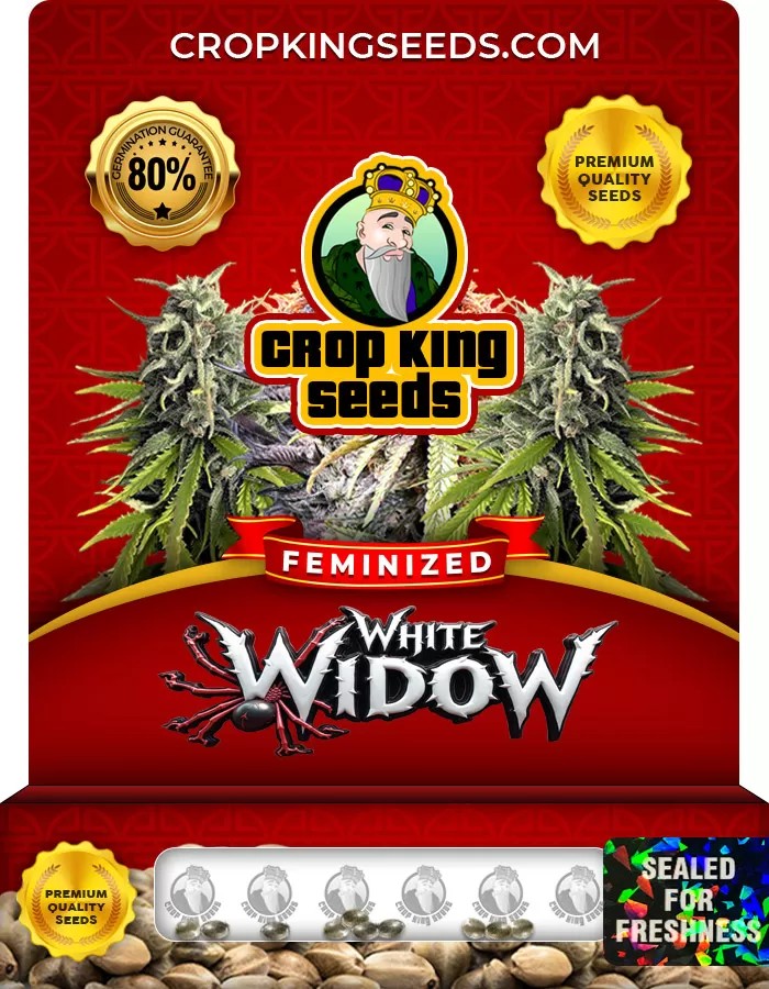 White Widow Strain Feminized Marijuana Seeds