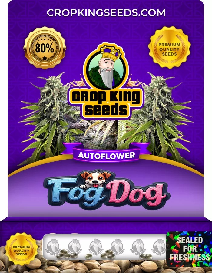 Fog Dog Autoflowering Feminized Marijuana Seeds