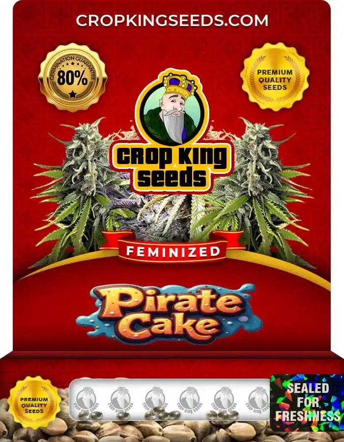Pirate Cake Strain Feminized Marijuana Seeds