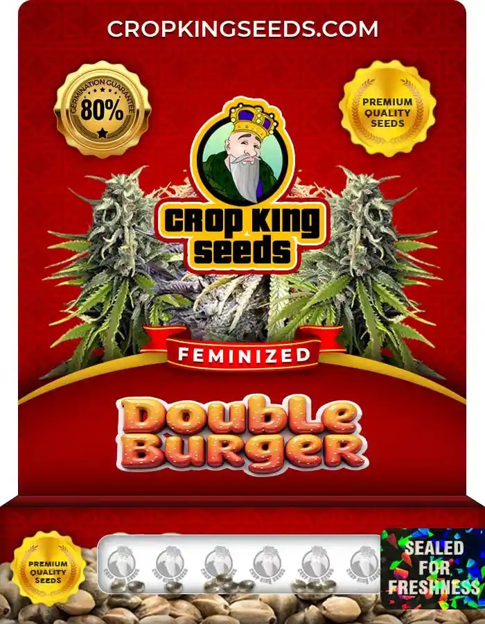 Double Burger Feminized Strain Seeds