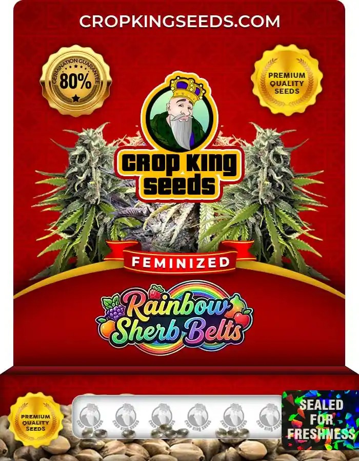Rainbow Sherb Belts Strain Feminized Seeds