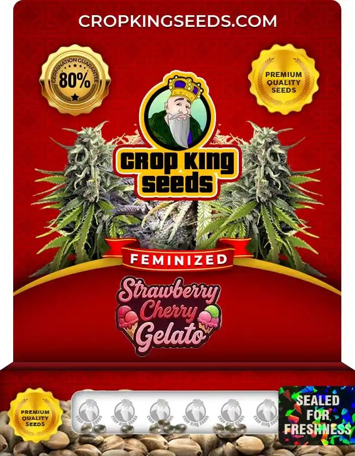 Strawberry Cherry Gelato Strain Feminized Marijuana Seeds