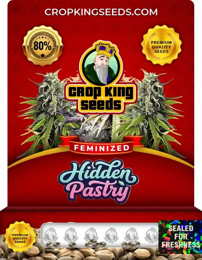 Hidden Pastry Strain Feminized Marijuana Seeds