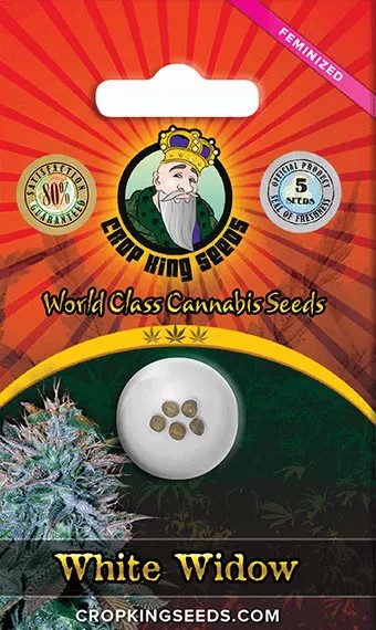 White Widow Autoflower Marijuana Seeds