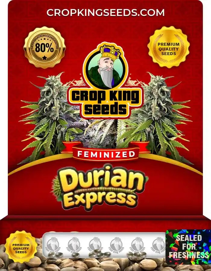 Durian Express Strain Feminized Seeds