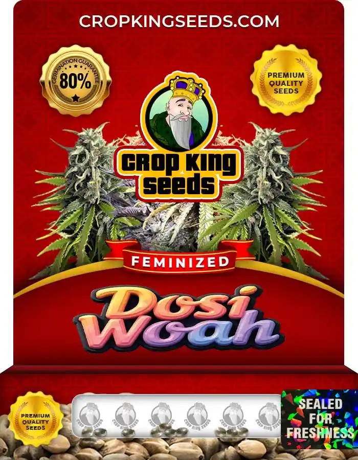 Dosi Woah Strain Feminized Marijuana Seeds