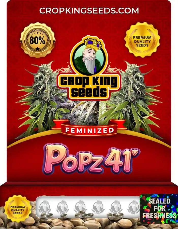Popz 41 Feminized Seeds