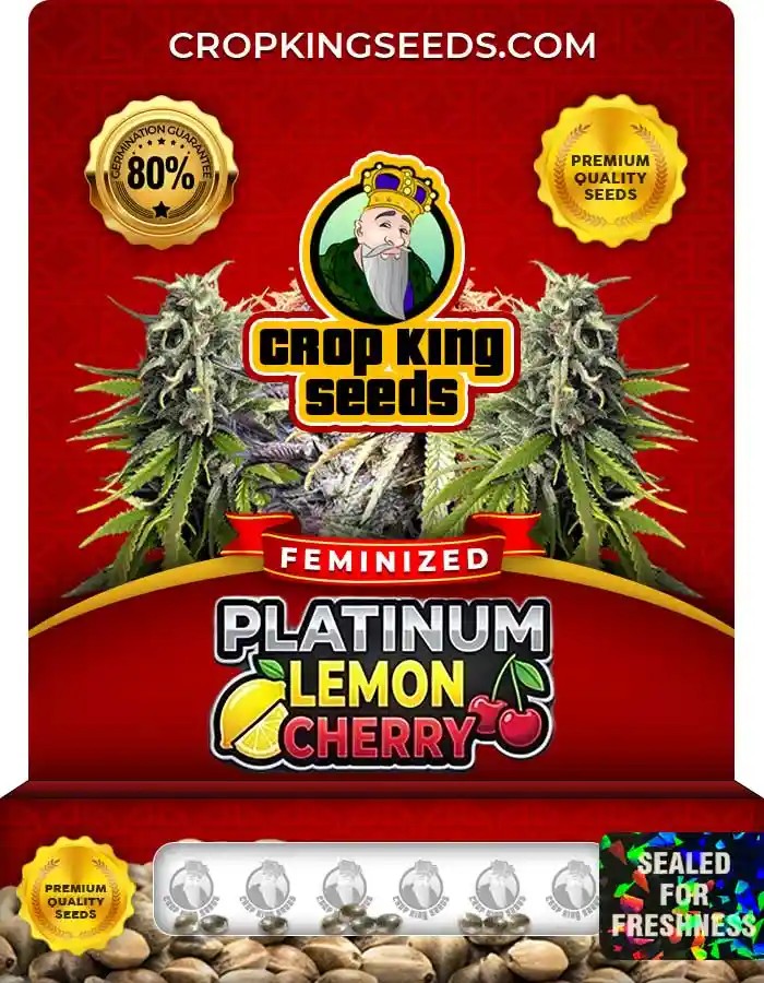 Platinum Lemon Cherry Strain Feminized Marijuana Seeds