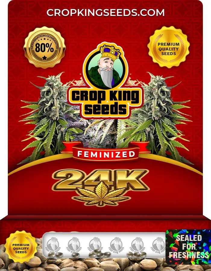 24K Strain Feminized Seeds