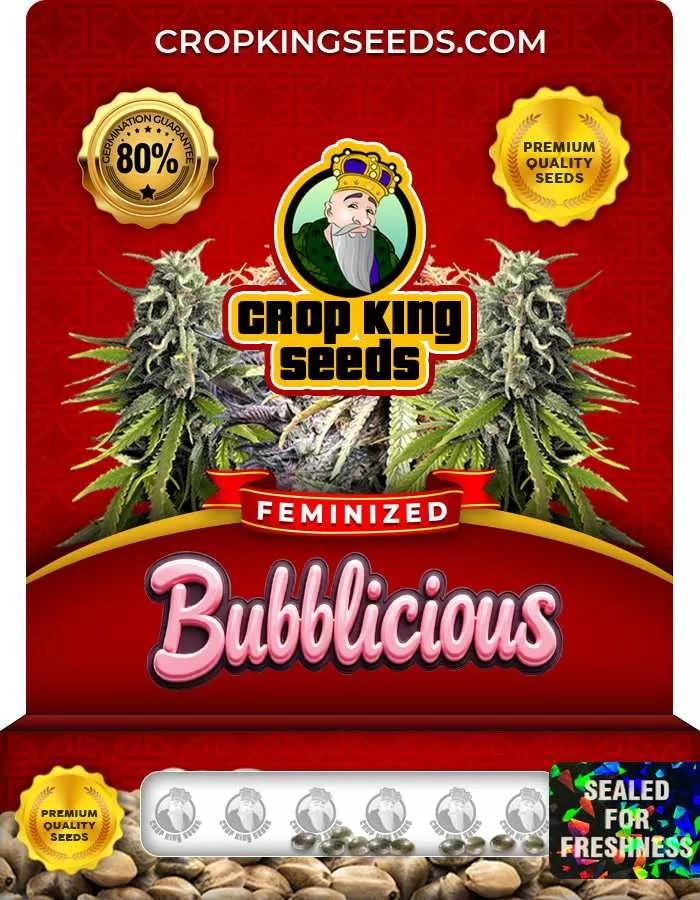 Bubblicious Feminized Marijuana Seeds