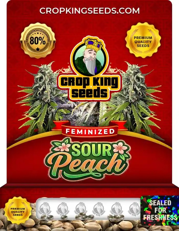 Sour Peach Feminized Seeds