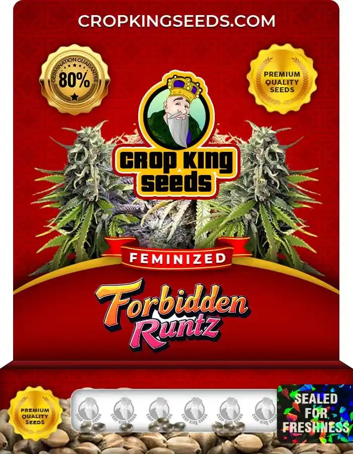Forbidden Runtz Strain Feminized Marijuana Seeds
