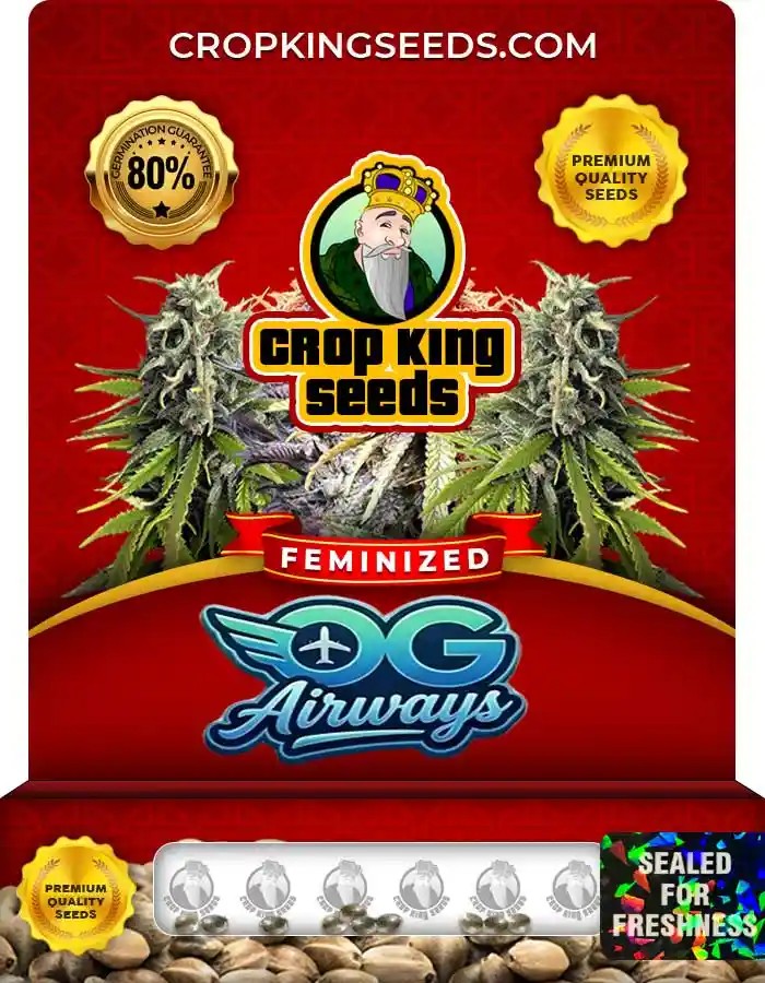 OG Airways Strain Feminized Seeds