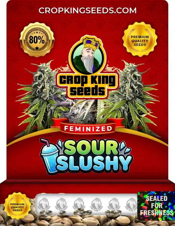 Sour Slushy Feminized Seeds