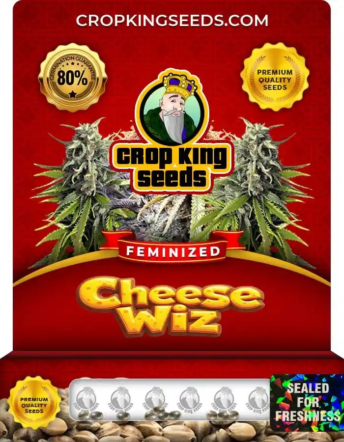 Cheese Wiz Strain Feminized Marijuana Seeds