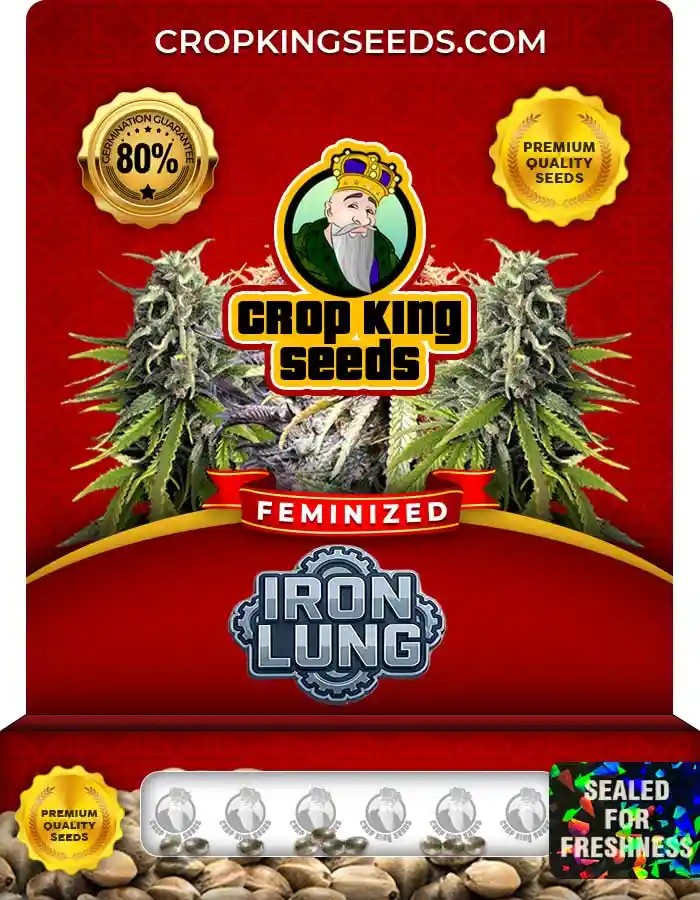 Iron Lung Feminized Seeds