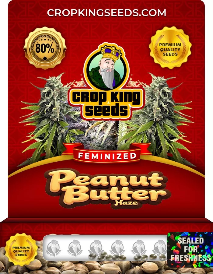 Peanut Butter Haze Feminized Marijuana Seeds