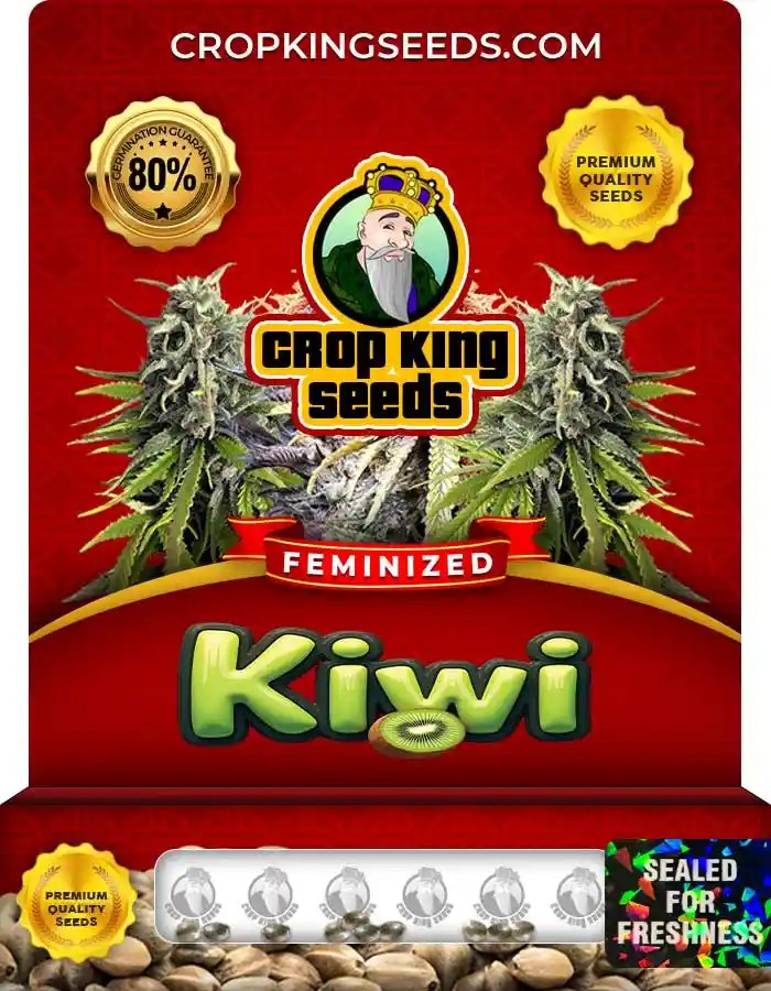 Kiwi Strain Feminized Seeds