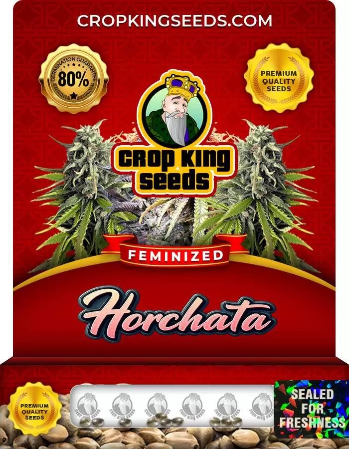 Horchata Strain Feminized Marijuana Seeds
