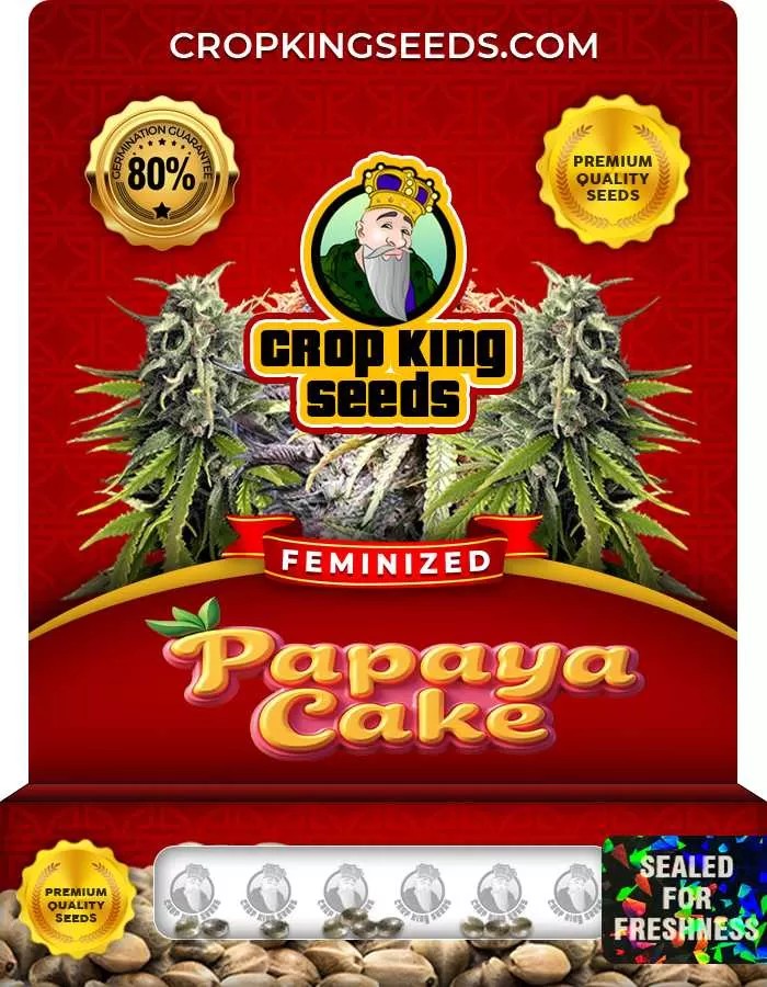 Papaya Cake Strain Feminized Marijuana Seeds