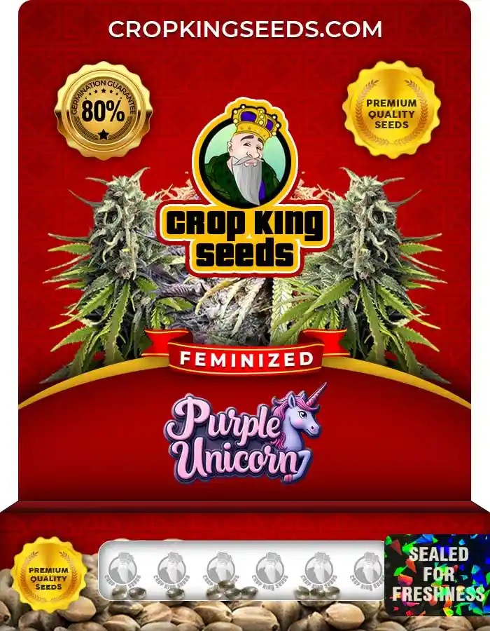 Purple Unicorn Feminized Seeds