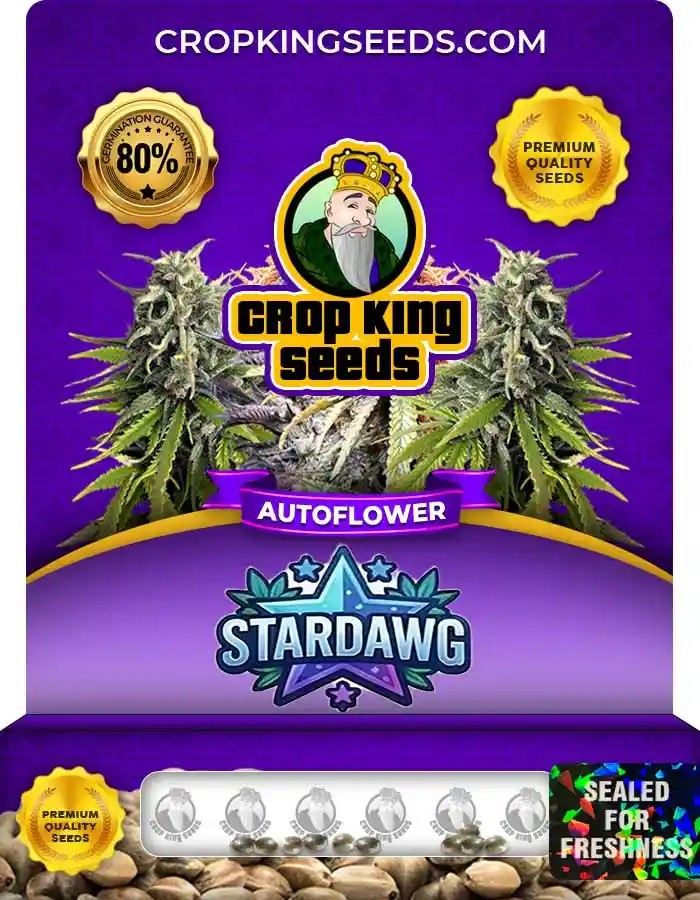 Stardawg Autoflower Seeds