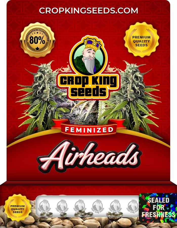 Airheads Feminized Marijuana Seeds