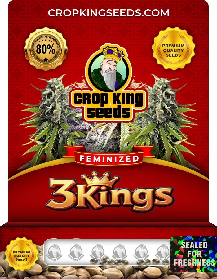 3 Kings Feminized Marijuana Seeds
