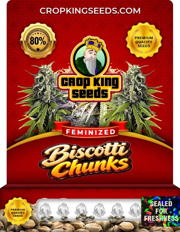 Biscotti Chunks Strain Feminized Seeds