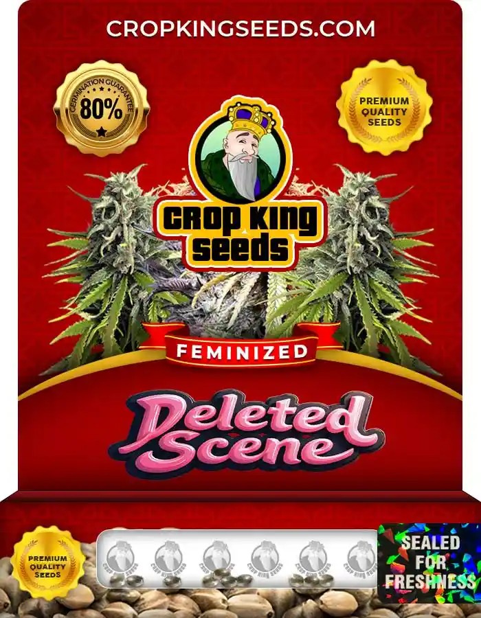 Deleted Scene Feminized Seeds