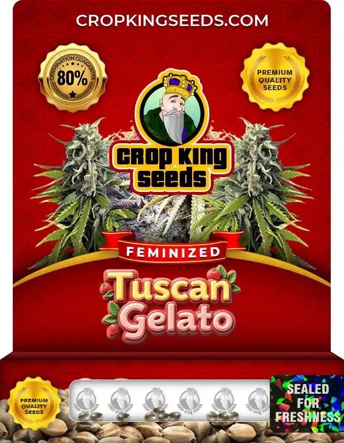 Tuscan Gelato Strain Feminized Marijuana Seeds