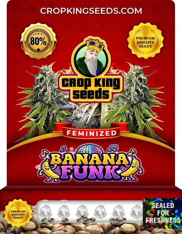 Banana Funk Strain Feminized Seeds