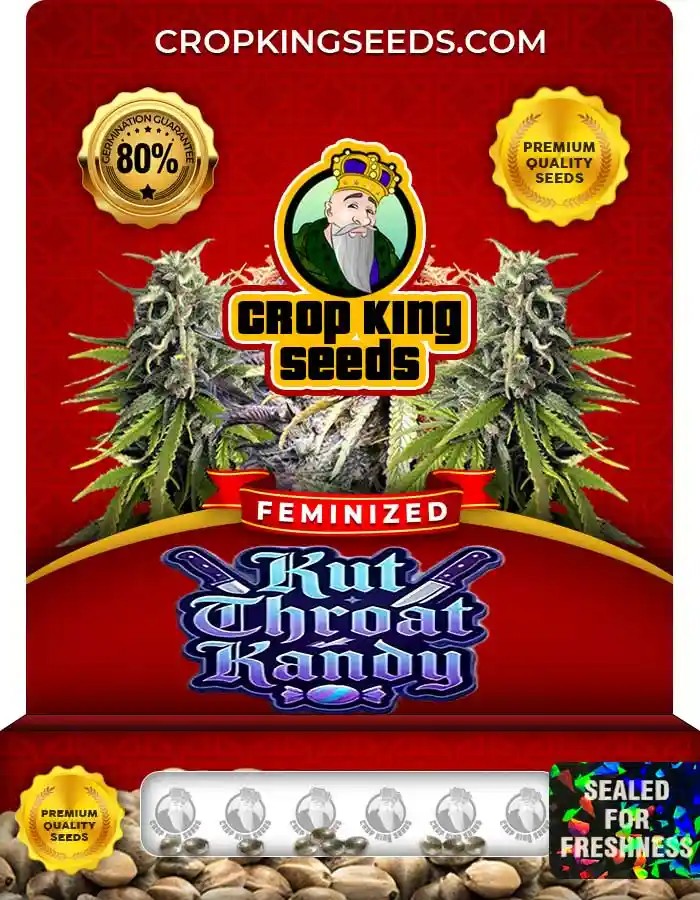 Kut Throat Kandy Strain Feminized Seeds