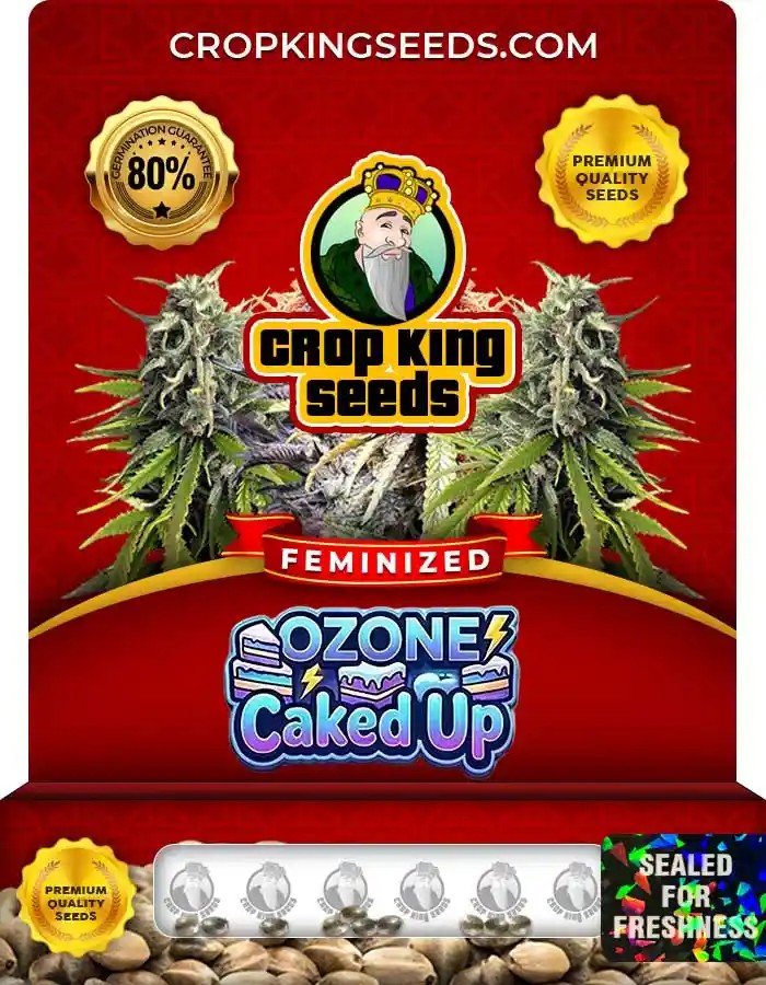 Ozone Caked Up Strain Feminized Seeds