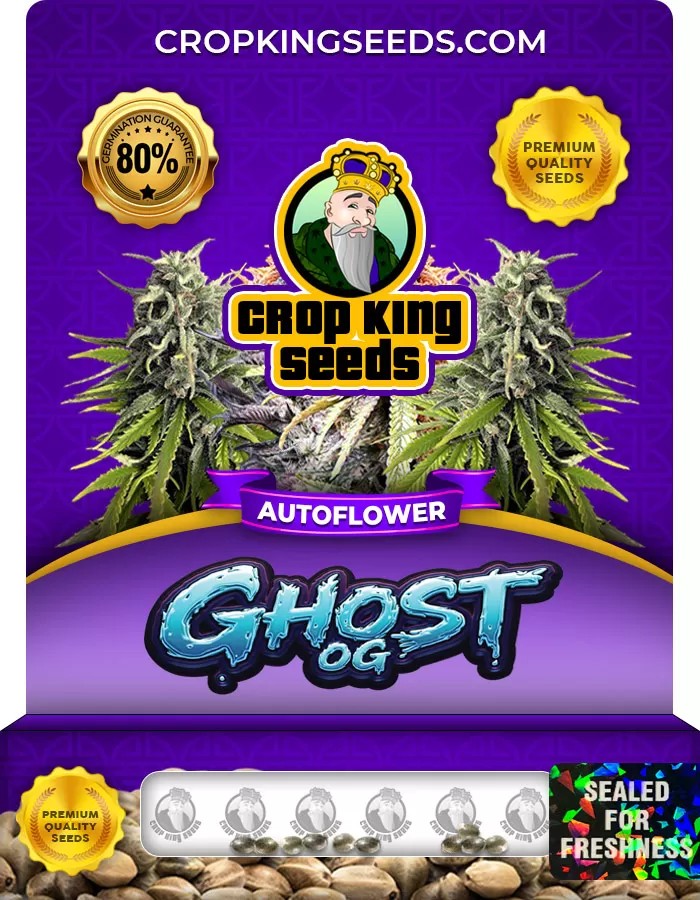 Ghost OG Autoflower Marijuana Seeds
