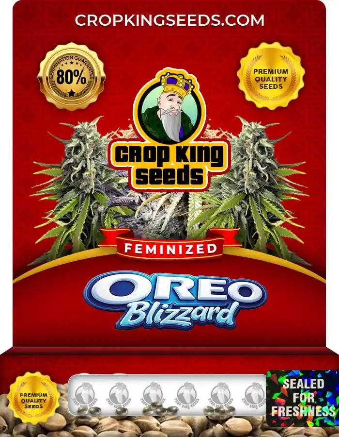 Oreo Blizzard Strain Feminized Marijuana Seeds