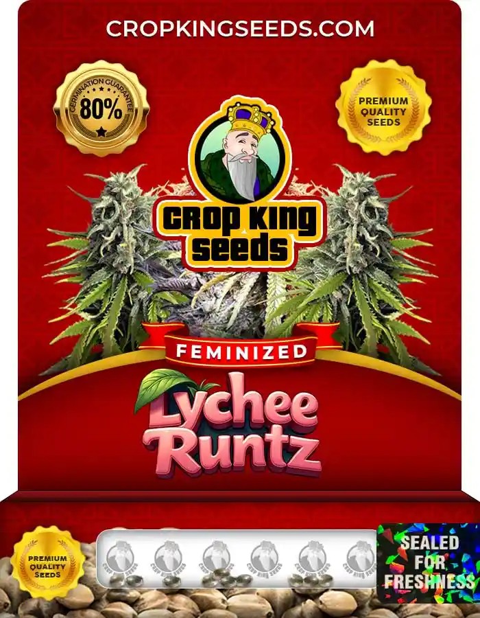 Lychee Runtz Strain Feminized Seeds
