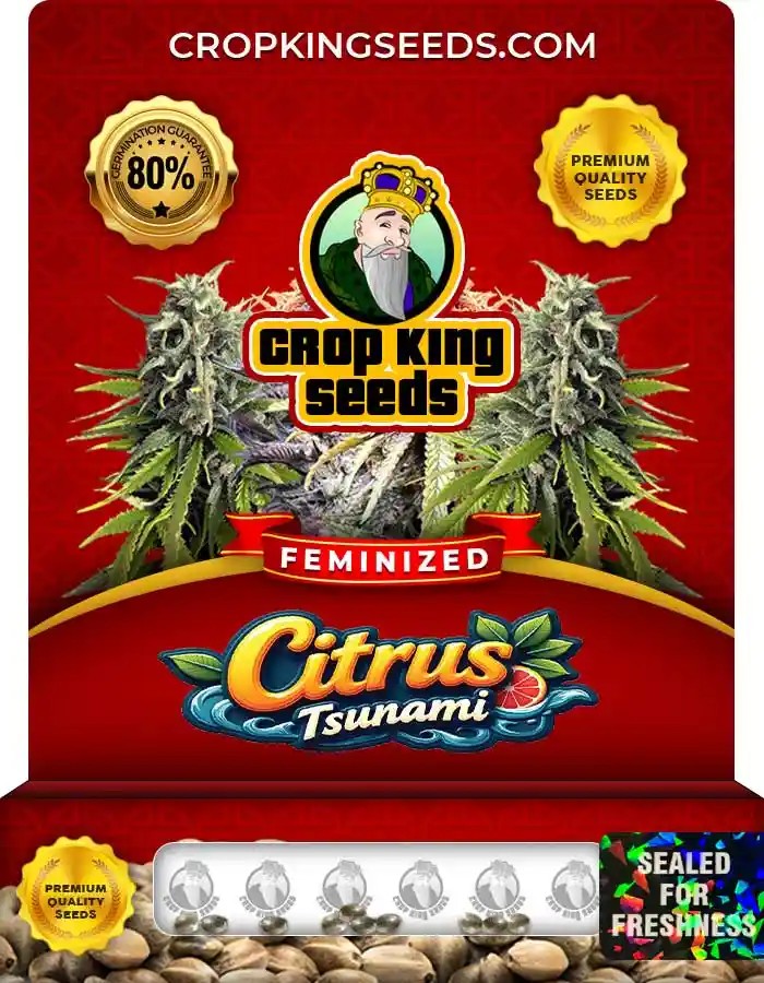 Citrus Tsunami Feminized Seeds