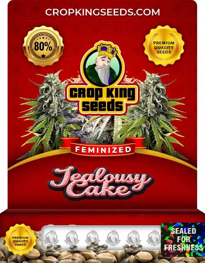 Jealousy Cake Strain Feminized Marijuana Seeds