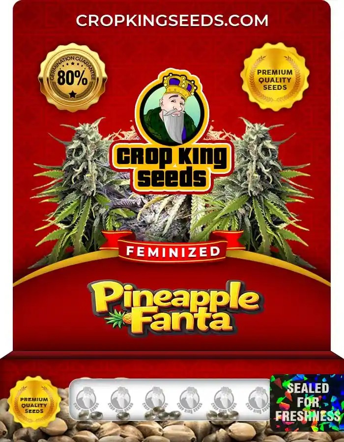 Pineapple Fanta Feminized Seeds