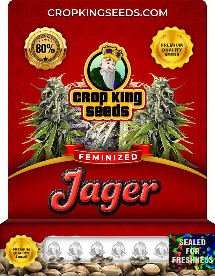 Jager Strain Feminized Marijuana Seeds