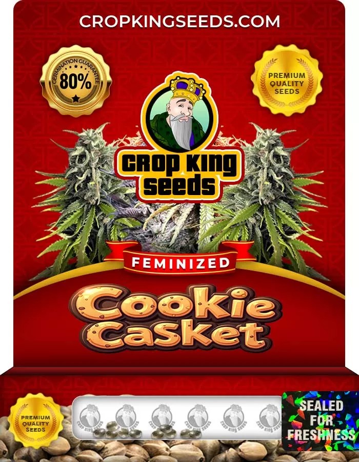 Cookie Casket Strain Feminized Seeds